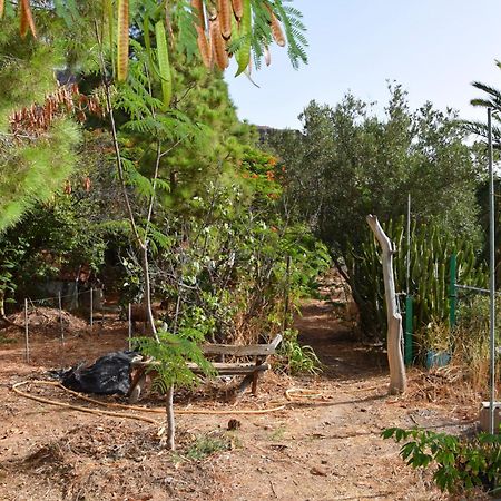 La Casa De Los Pinos Temisas ภายนอก รูปภาพ
