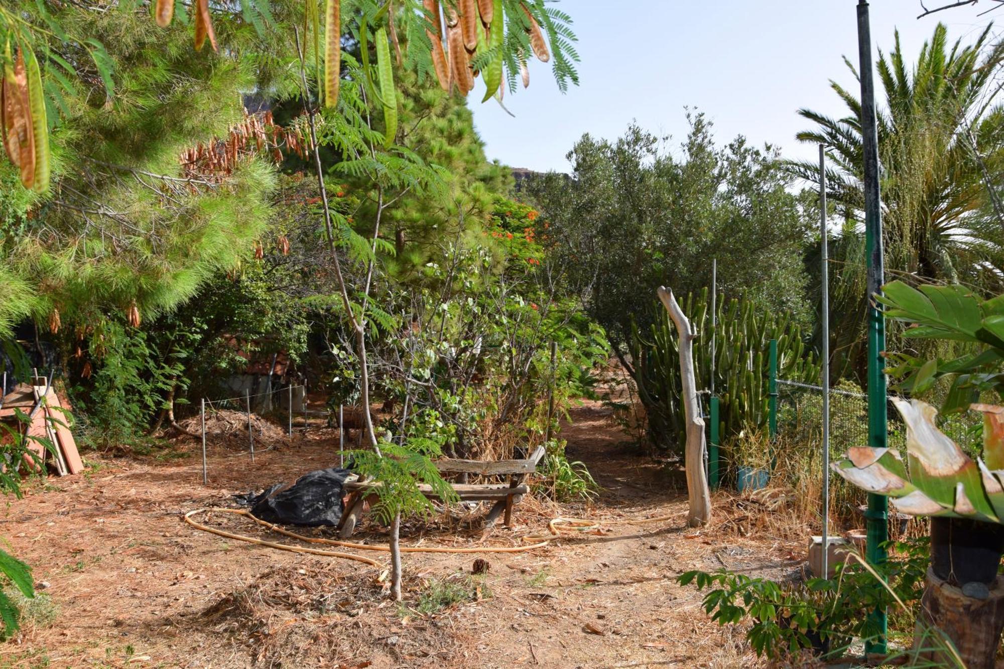 La Casa De Los Pinos Temisas ภายนอก รูปภาพ